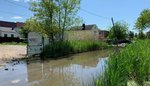 A flooded street in The Hole neighborhood looks more like a marsh, with tall grasses growing along the side. A row of houses are seen in the background